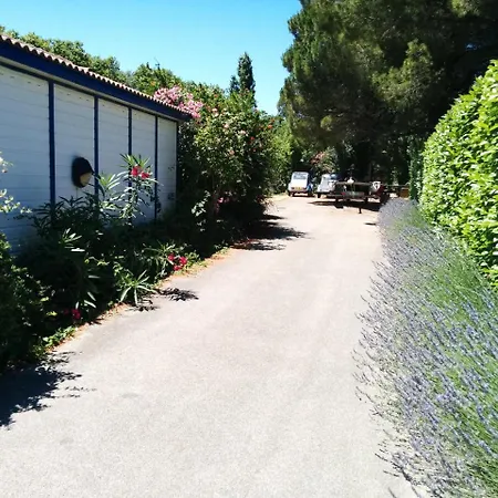 & - Git'ostal Carcassonne