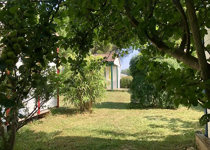 & - Git'ostal قرقشونه