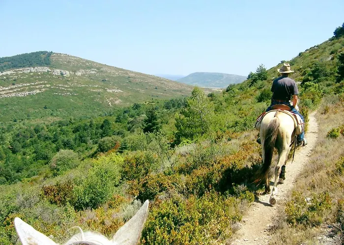 & - Git'ostal Carcassone